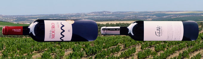 Alentejo_weine_beitrag