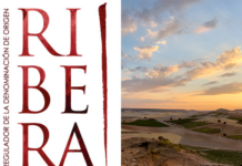 Ribera del Duero: vor Ort zum 40. Geburtstag!